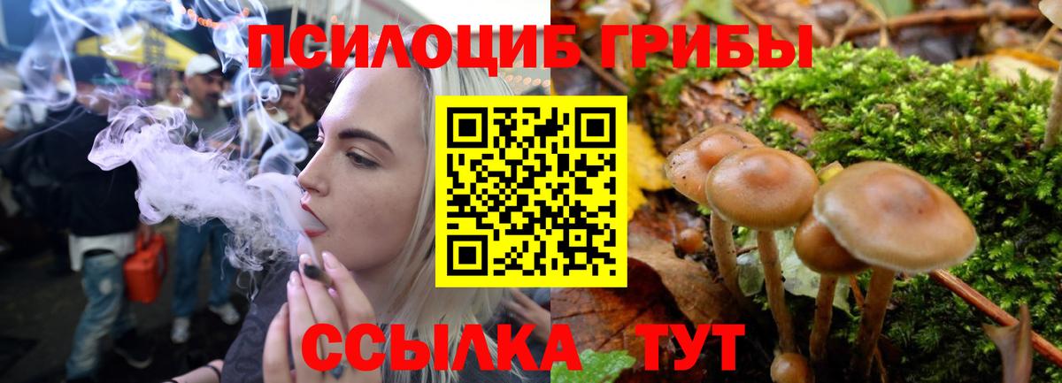Галлюциногенные грибы Cubensis Великие Луки
