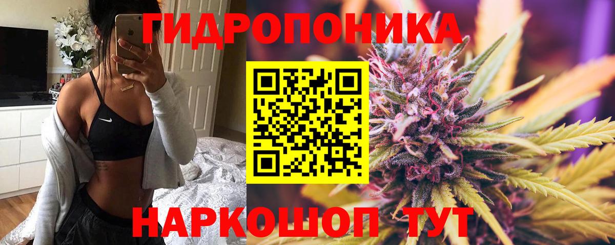 Великие Луки  Бошки Шишки Bruce Banner  Вход с VPN  Канабис White Widow 